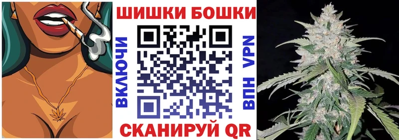 где можно купить наркотик  Гаджиево  Шишки марихуана индика 